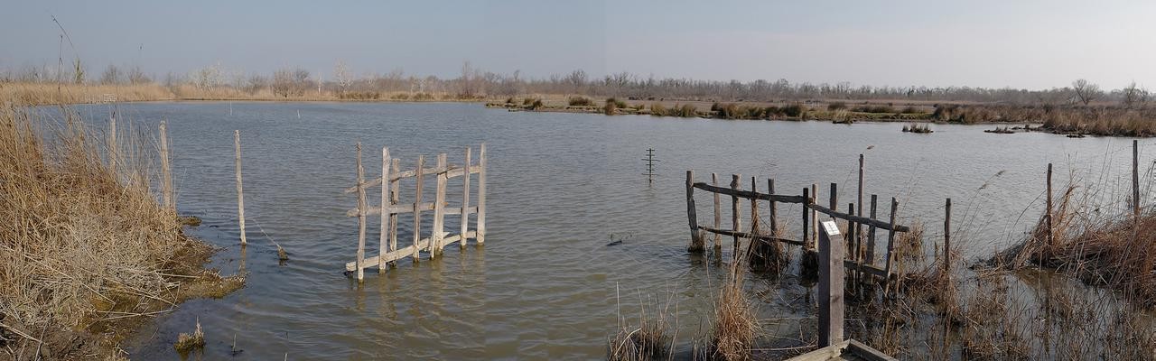 Pano Camargue.jpg